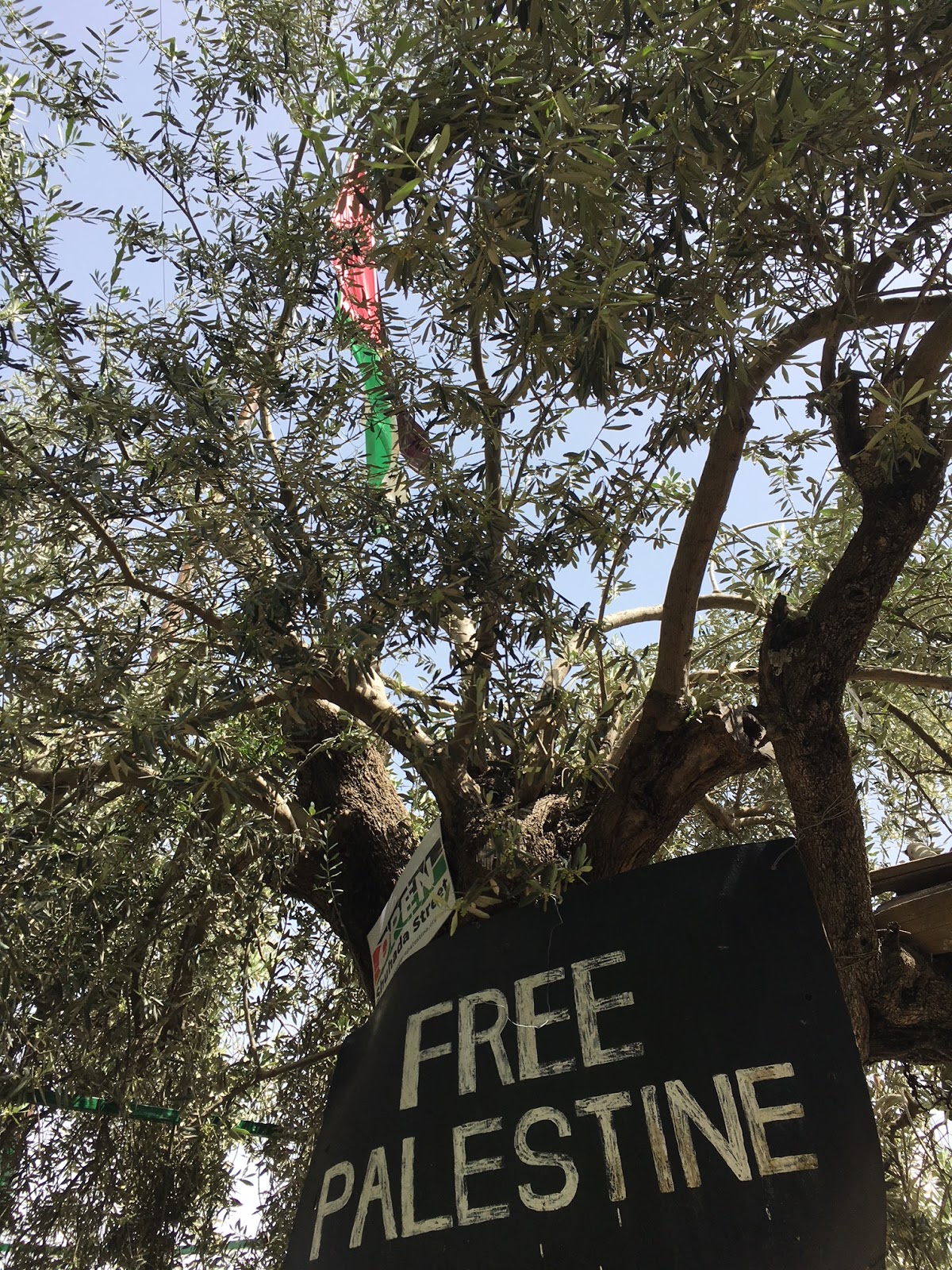Free Palestine flag